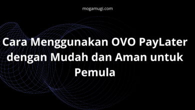 Cara Menggunakan OVO PayLater dengan Mudah dan Aman untuk Pemula