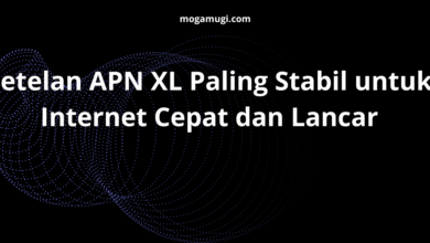 Setelan APN XL Paling Stabil untuk Internet Cepat dan Lancar