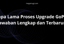 Berapa Lama Proses Upgrade GoPay? Ini Jawaban Lengkap dan Terbarunya