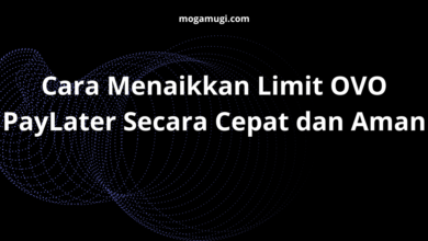 Cara Menaikkan Limit OVO PayLater Secara Cepat dan Aman