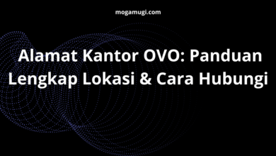 Alamat Kantor OVO: Panduan Lengkap Lokasi & Cara Hubungi