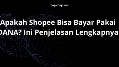 Apakah Shopee Bisa Bayar Pakai DANA? Ini Penjelasan Lengkapnya