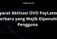 Syarat Aktivasi OVO PayLater Terbaru yang Wajib Dipenuhi Pengguna