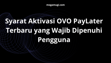Syarat Aktivasi OVO PayLater Terbaru yang Wajib Dipenuhi Pengguna