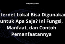 Internet Lokal Bisa Digunakan untuk Apa Saja? Ini Fungsi, Manfaat, dan Contoh Pemanfaatannya