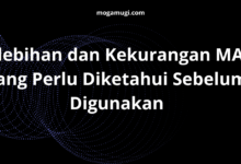 Kelebihan dan Kekurangan MAN yang Perlu Diketahui Sebelum Digunakan