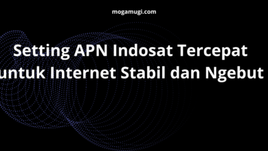 Setting APN Indosat Tercepat untuk Internet Stabil dan Ngebut
