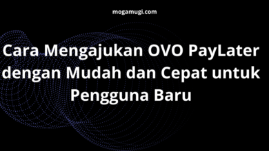 Cara Mengajukan OVO PayLater dengan Mudah dan Cepat untuk Pengguna Baru