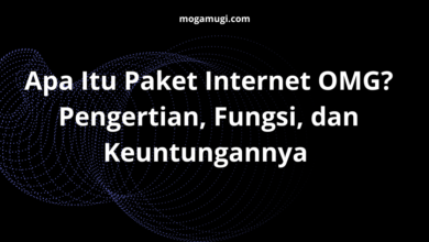 Apa Itu Paket Internet OMG? Pengertian, Fungsi, dan Keuntungannya