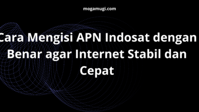 Cara Mengisi APN Indosat dengan Benar agar Internet Stabil dan Cepat