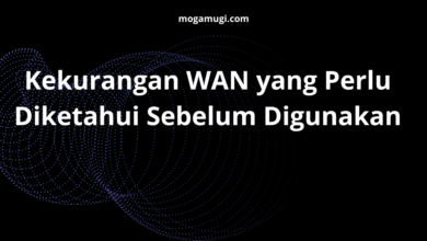 Kekurangan WAN yang Perlu Diketahui Sebelum Digunakan