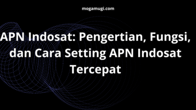 APN Indosat: Pengertian, Fungsi, dan Cara Setting APN Indosat Tercepat