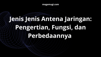 Jenis Jenis Antena Jaringan: Pengertian, Fungsi, dan Perbedaannya