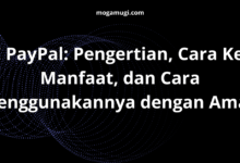 VCC PayPal: Pengertian, Cara Kerja, Manfaat, dan Cara Menggunakannya dengan Aman