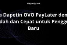 Cara Dapetin OVO PayLater dengan Mudah dan Cepat untuk Pengguna Baru