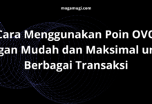 Cara Menggunakan Poin OVO dengan Mudah dan Maksimal untuk Berbagai Transaksi