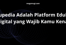 Ilmupedia Adalah Platform Edukasi Digital yang Wajib Kamu Kenal