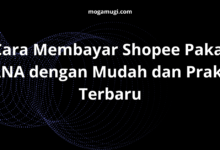 Cara Membayar Shopee Pakai DANA dengan Mudah dan Praktis Terbaru