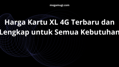Harga Kartu XL 4G Terbaru dan Lengkap untuk Semua Kebutuhan