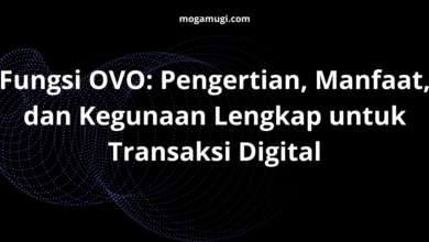Fungsi OVO: Pengertian, Manfaat, dan Kegunaan Lengkap untuk Transaksi Digital