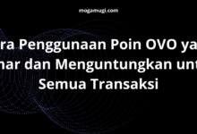 Cara Penggunaan Poin OVO yang Benar dan Menguntungkan untuk Semua Transaksi