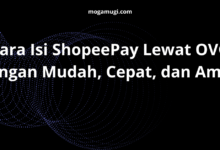 Cara Isi ShopeePay Lewat OVO dengan Mudah, Cepat, dan Aman