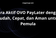 Cara Aktif OVO PayLater dengan Mudah, Cepat, dan Aman untuk Pemula