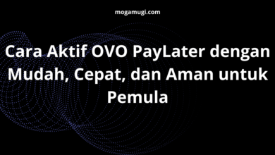 Cara Aktif OVO PayLater dengan Mudah, Cepat, dan Aman untuk Pemula