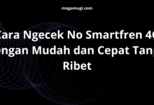 Cara Ngecek No Smartfren 4G dengan Mudah dan Cepat Tanpa Ribet