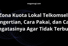 Zona Kuota Lokal Telkomsel: Pengertian, Cara Pakai, dan Cara Mengatasinya Agar Tidak Terbuang