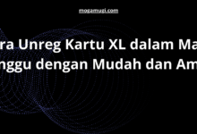 Cara Unreg Kartu XL dalam Masa Tunggu dengan Mudah dan Aman